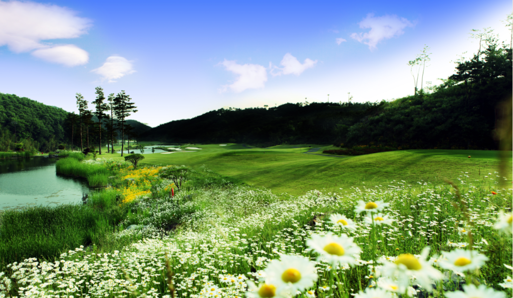 Hillmaru 봄 골프 코스
